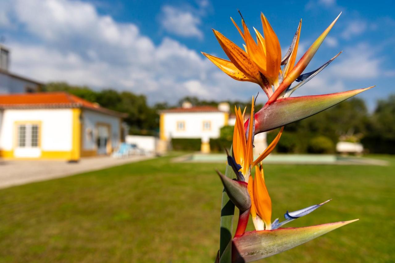 Quinta Do Pe Descalco 3*