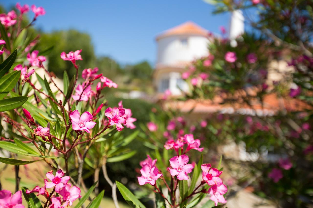 Bed & Breakfast Quinta Do Cabo 4*